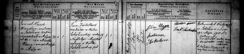 Sokołów marriages 1901, entry 3: Samuel Hersch Weinstein, merchant of Medynia Głogowska, son of Mendel and Roisa.