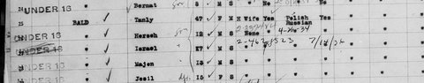 SS Niagara, arrived New York 20 Sep 1920: Tillie (“Tanly”) Bald and her four children, Israel (Isidore) among them.